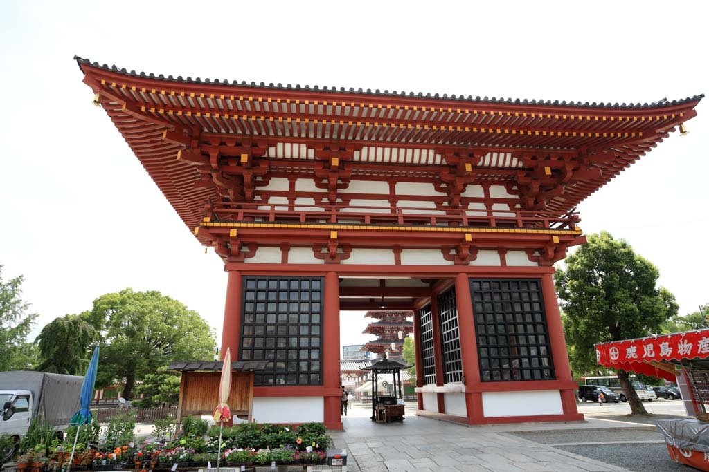 �ʐ^,�f��,����,�t���[,�t�H�g,�N���G�C�e�B�u�E�R�����Y,���i,�ǎ�,�l�V�����@�����i�Ɋy��j, , , , 