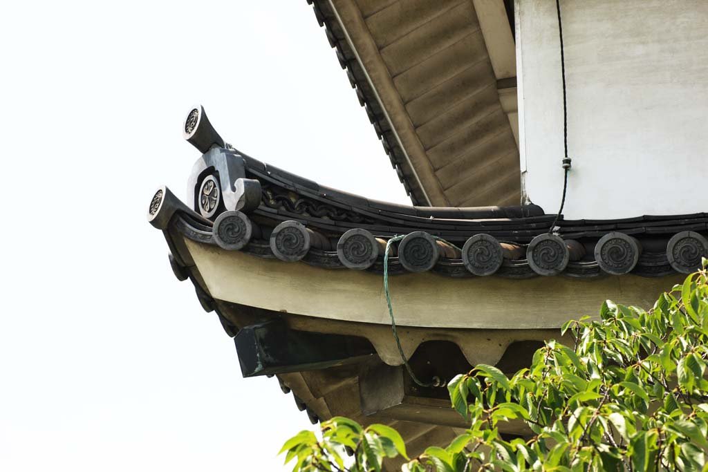 �ʐ^,�f��,����,�t���[,�t�H�g,�N���G�C�e�B�u�E�R�����Y,���i,�ǎ�,����@���E, , , , 