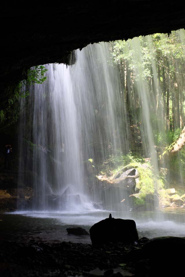 �ʐ^,�f��,����,�t���[,�t�H�g,�N���G�C�e�B�u�E�R�����Y,���i,�ǎ�,�烖��, , , , 