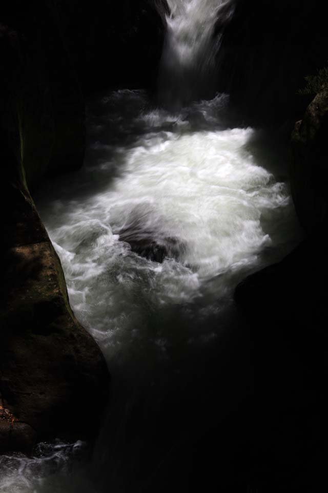 �ʐ^,�f��,����,�t���[,�t�H�g,�N���G�C�e�B�u�E�R�����Y,���i,�ǎ�,�k�J�ɕ���, , , , 