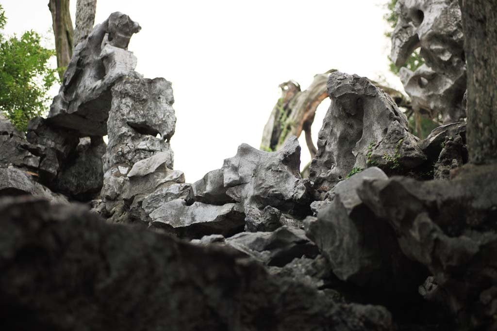 �ʐ^,�f��,����,�t���[,�t�H�g,�N���G�C�e�B�u�E�R�����Y,���i,�ǎ�,����, ���ΐ�, , , 