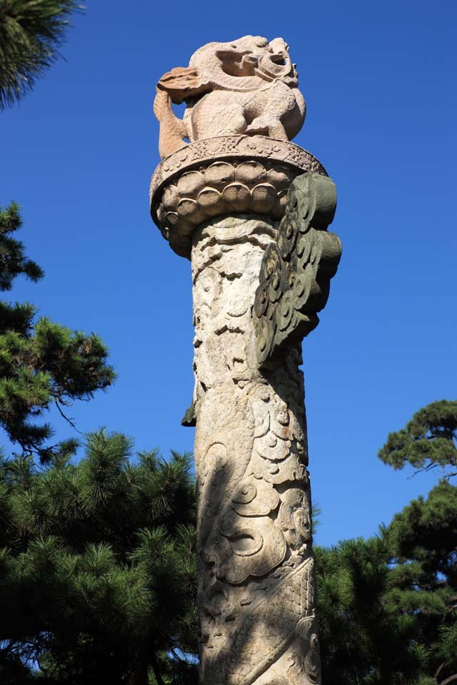 �ʐ^,�f��,����,�t���[,�t�H�g,�N���G�C�e�B�u�E�R�����Y,���i,�ǎ�,���� (��)�@�Ύ�, , , , 