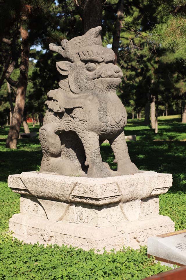 �ʐ^,�f��,����,�t���[,�t�H�g,�N���G�C�e�B�u�E�R�����Y,���i,�ǎ�,���� (��)�@�b�̑�, , , , 