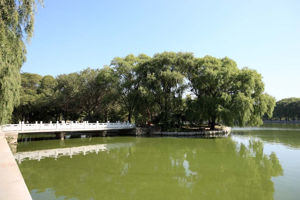 �ʐ^,�f��,����,�t���[,�t�H�g,�N���G�C�e�B�u�E�R�����Y,���i,�ǎ�,�k�ˌ���, , , , 