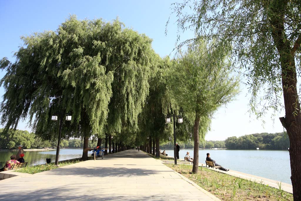 �ʐ^,�f��,����,�t���[,�t�H�g,�N���G�C�e�B�u�E�R�����Y,���i,�ǎ�,�k�ˌ���, , , , 