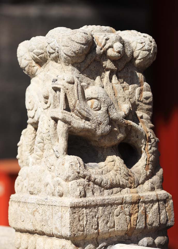 �ʐ^,�f��,����,�t���[,�t�H�g,�N���G�C�e�B�u�E�R�����Y,���i,�ǎ�,�c�z�̋{�@�����a, , , , 