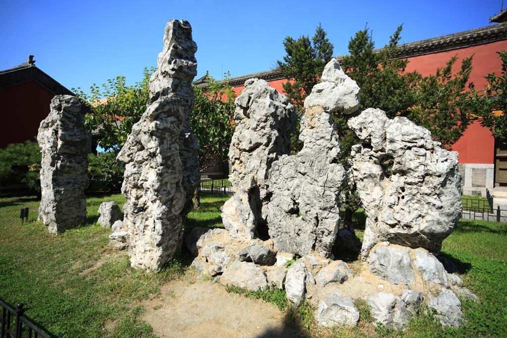 �ʐ^,�f��,����,�t���[,�t�H�g,�N���G�C�e�B�u�E�R�����Y,���i,�ǎ�,�c�z�̋{, ���ΐ�, , , 