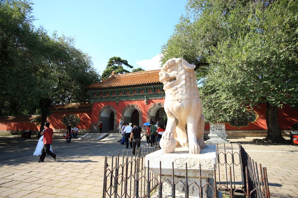 �ʐ^,�f��,����,�t���[,�t�H�g,�N���G�C�e�B�u�E�R�����Y,���i,�ǎ�,���� ���g��, ���q, , , 