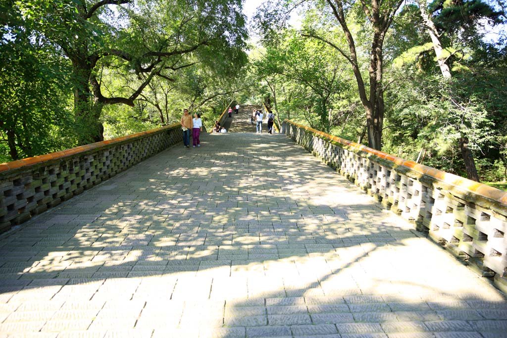 �ʐ^,�f��,����,�t���[,�t�H�g,�N���G�C�e�B�u�E�R�����Y,���i,�ǎ�,���� �_���̍�, , , , 