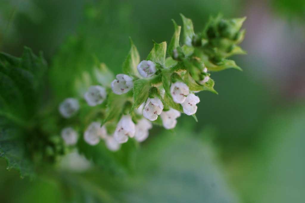 �ʐ^,�f��,����,�t���[,�t�H�g,�N���G�C�e�B�u�E�R�����Y,���i,�ǎ�,�����̉�, ����, �W�\, ���h, �I�I�o