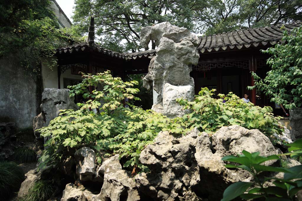 �ʐ^,�f��,����,�t���[,�t�H�g,�N���G�C�e�B�u�E�R�����Y,���i,�ǎ�,����, ���ΐ�, , , 