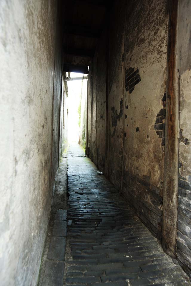 �ʐ^,�f��,����,�t���[,�t�H�g,�N���G�C�e�B�u�E�R�����Y,���i,�ǎ�,�����@, �D, , , 