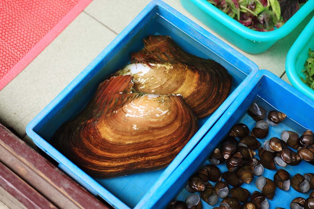 �ʐ^,�f��,����,�t���[,�t�H�g,�N���G�C�e�B�u�E�R�����Y,���i,�ǎ�,�q���C�P�`���E�K�C, , , , 