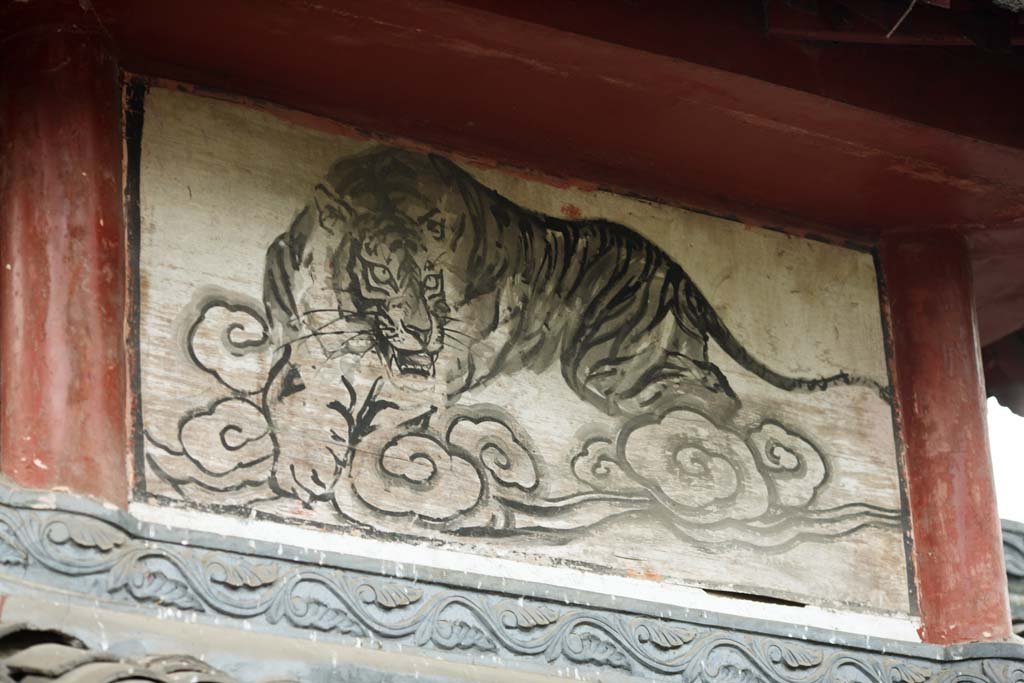 �ʐ^,�f��,����,�t���[,�t�H�g,�N���G�C�e�B�u�E�R�����Y,���i,�ǎ�,����@, ��, , , 