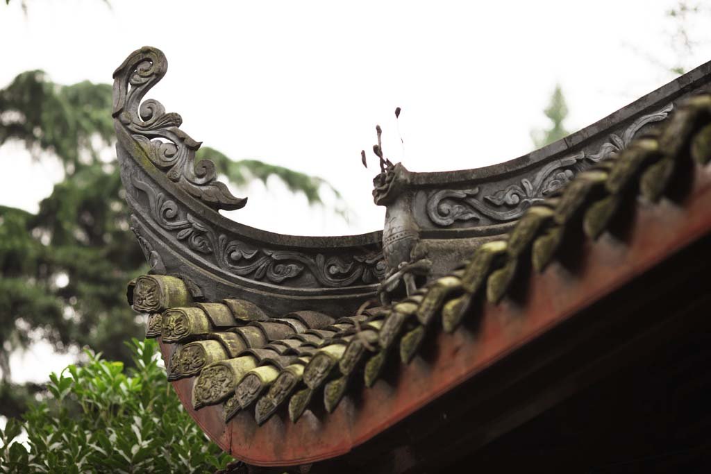 �ʐ^,�f��,����,�t���[,�t�H�g,�N���G�C�e�B�u�E�R�����Y,���i,�ǎ�,����@, , , , 