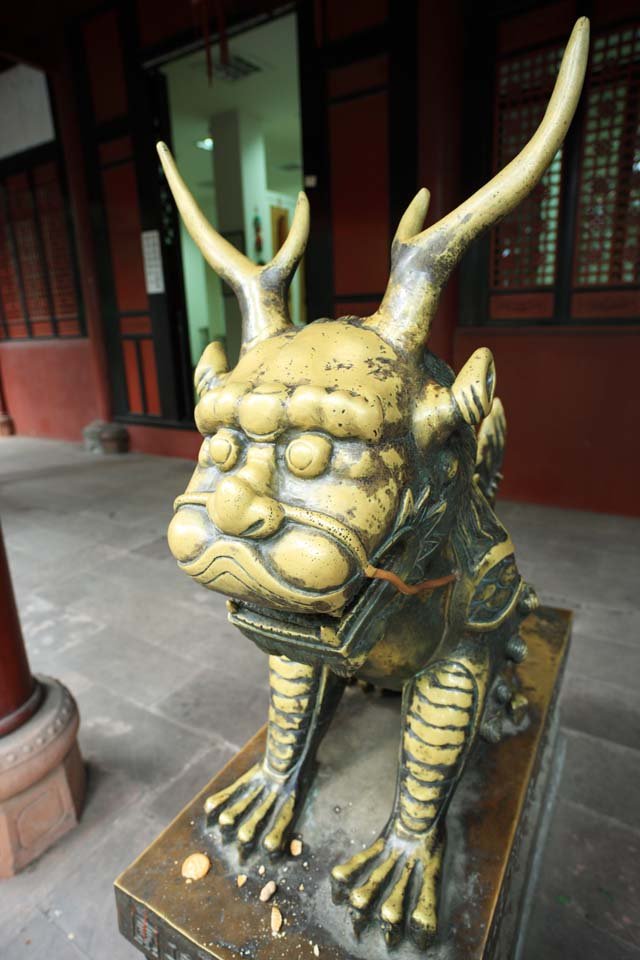 �ʐ^,�f��,����,�t���[,�t�H�g,�N���G�C�e�B�u�E�R�����Y,���i,�ǎ�,����@, , , , 