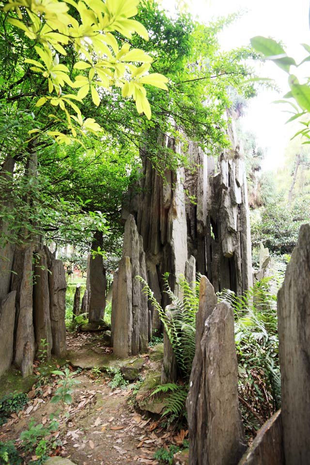 �ʐ^,�f��,����,�t���[,�t�H�g,�N���G�C�e�B�u�E�R�����Y,���i,�ǎ�,����@, , , , 