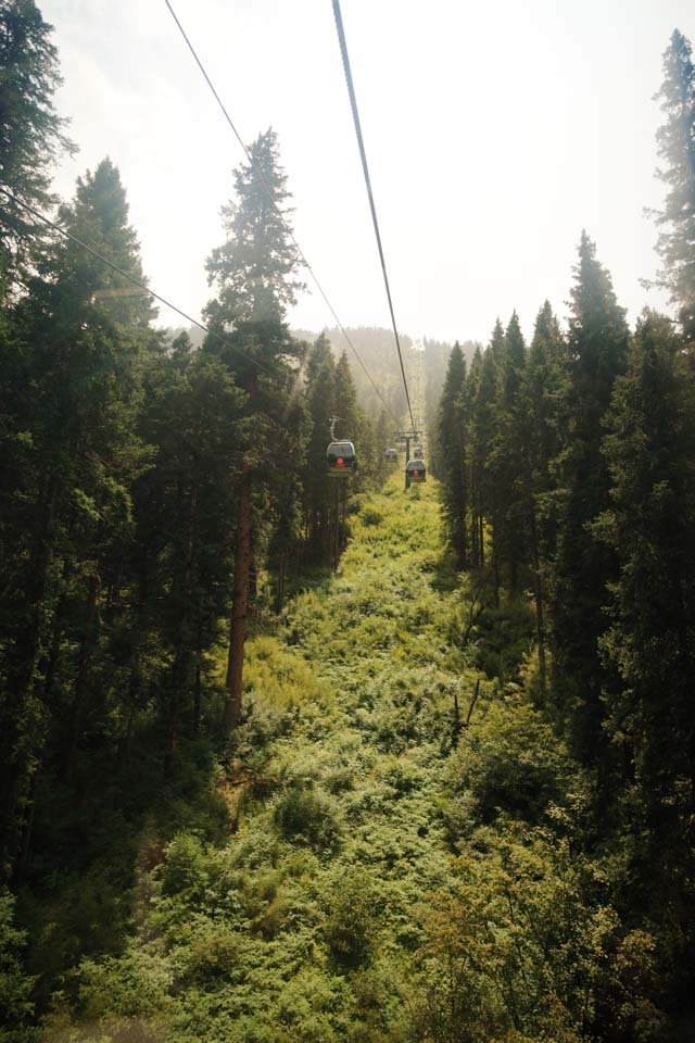 �ʐ^,�f��,����,�t���[,�t�H�g,�N���G�C�e�B�u�E�R�����Y,���i,�ǎ�,�����@���[�v�E�F�C, , , , 