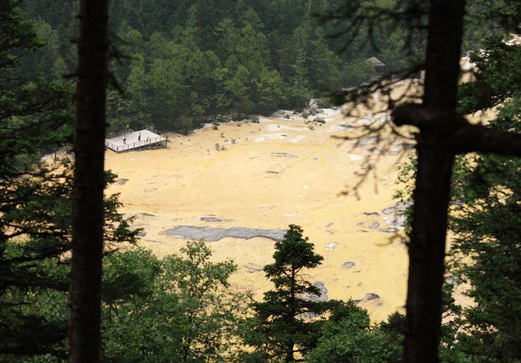 �ʐ^,�f��,����,�t���[,�t�H�g,�N���G�C�e�B�u�E�R�����Y,���i,�ǎ�,�����@, , , , 