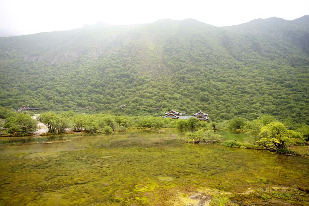 �ʐ^,�f��,����,�t���[,�t�H�g,�N���G�C�e�B�u�E�R�����Y,���i,�ǎ�,�����@, , , , 