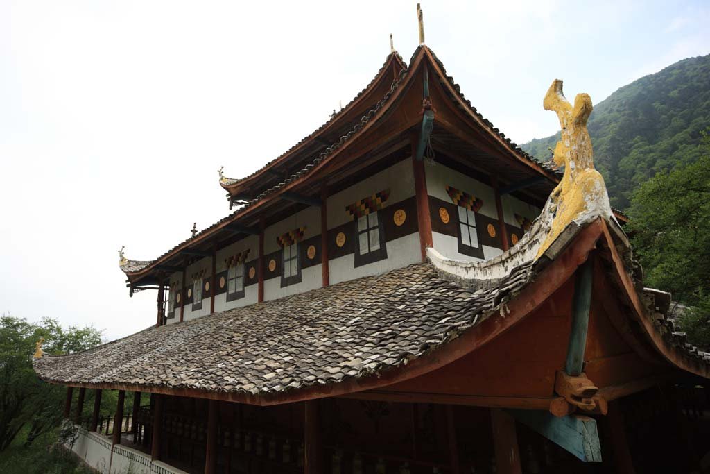 �ʐ^,�f��,����,�t���[,�t�H�g,�N���G�C�e�B�u�E�R�����Y,���i,�ǎ�,�����@��������, , , , 