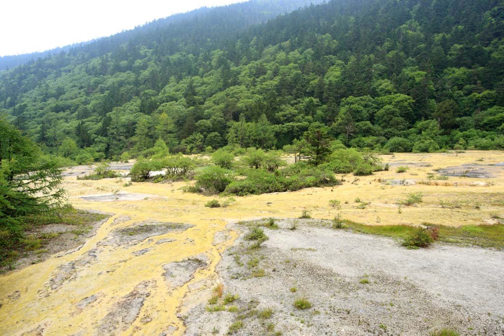 �ʐ^,�f��,����,�t���[,�t�H�g,�N���G�C�e�B�u�E�R�����Y,���i,�ǎ�,�����@, , , , 