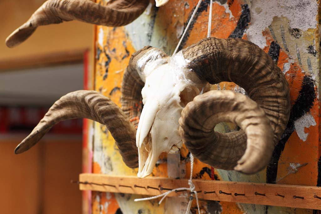 photo,material,free,landscape,picture,stock photo,Creative Commons,Jiuzhaigou TatsukiTadashi��, , , , 