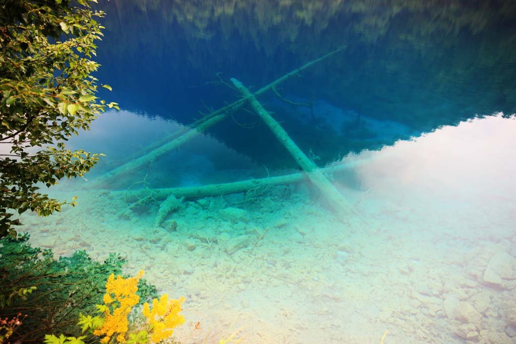 �ʐ^,�f��,����,�t���[,�t�H�g,�N���G�C�e�B�u�E�R�����Y,���i,�ǎ�,��ˍa�@�V�ՊC, , , , 