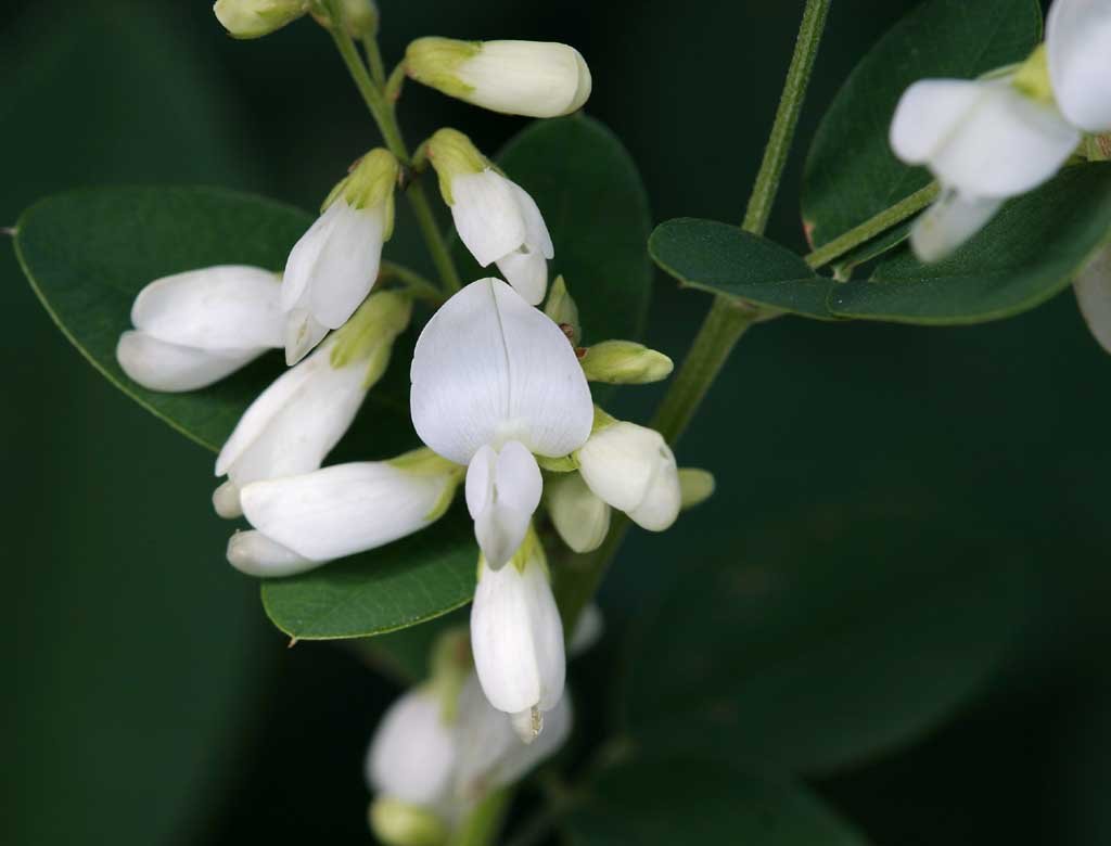 �ʐ^,�f��,����,�t���[,�t�H�g,�N���G�C�e�B�u�E�R�����Y,���i,�ǎ�,���̉�, ��, ����, , 