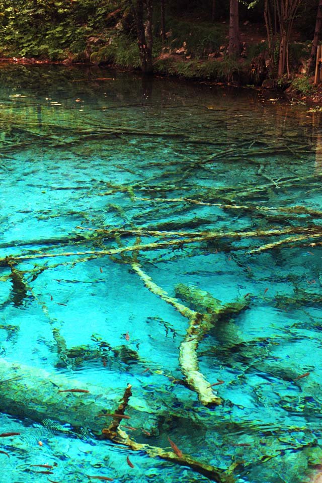 photo,material,free,landscape,picture,stock photo,Creative Commons,Jiuzhaigou Gohanaumi, , , , 
