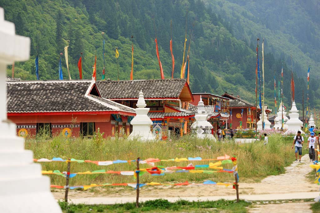 �ʐ^,�f��,����,�t���[,�t�H�g,�N���G�C�e�B�u�E�R�����Y,���i,�ǎ�,��ˍa�@, , , , 