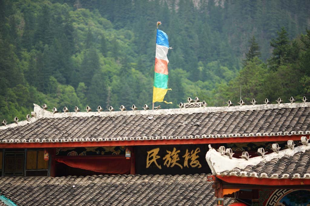 �ʐ^,�f��,����,�t���[,�t�H�g,�N���G�C�e�B�u�E�R�����Y,���i,�ǎ�,��ˍa�@, , , , 