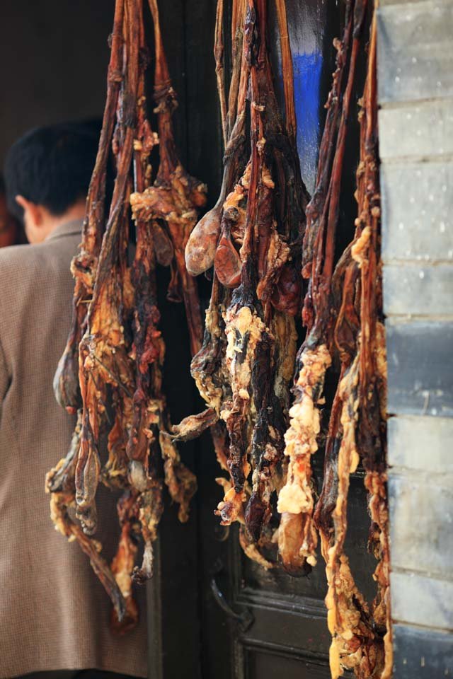 �ʐ^,�f��,����,�t���[,�t�H�g,�N���G�C�e�B�u�E�R�����Y,���i,�ǎ�,���N�̊�����, , , , 