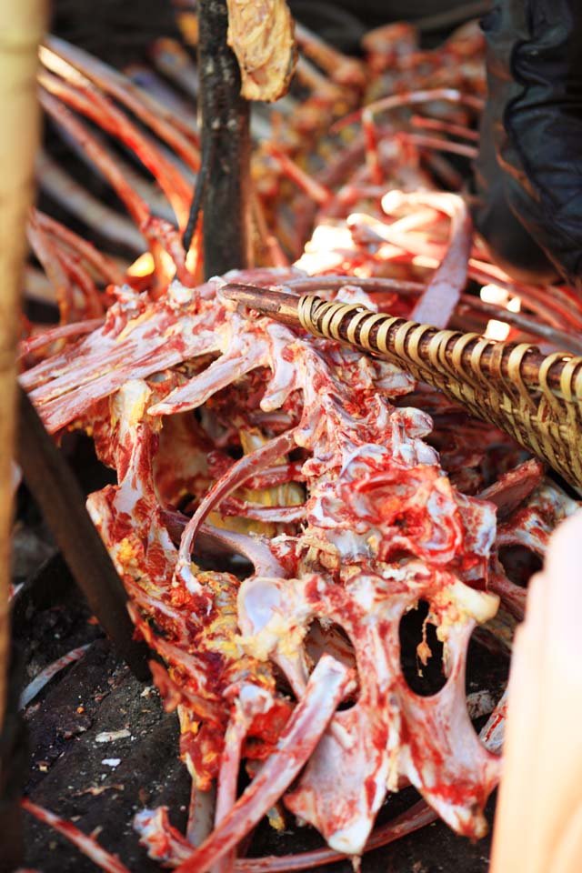 �ʐ^,�f��,����,�t���[,�t�H�g,�N���G�C�e�B�u�E�R�����Y,���i,�ǎ�,���N�̍�, , , , 