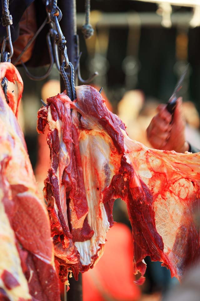 �ʐ^,�f��,����,�t���[,�t�H�g,�N���G�C�e�B�u�E�R�����Y,���i,�ǎ�,���N�̓�, , , , 