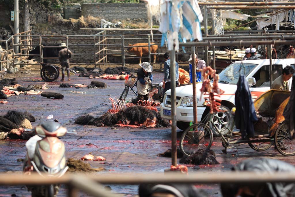 �ʐ^,�f��,����,�t���[,�t�H�g,�N���G�C�e�B�u�E�R�����Y,���i,�ǎ�,���N�̓j�E��, , , , 