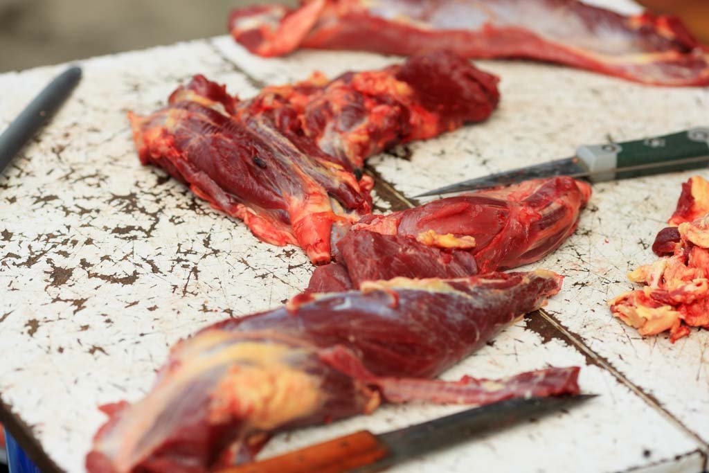 �ʐ^,�f��,����,�t���[,�t�H�g,�N���G�C�e�B�u�E�R�����Y,���i,�ǎ�,���N�̓�, , , , 