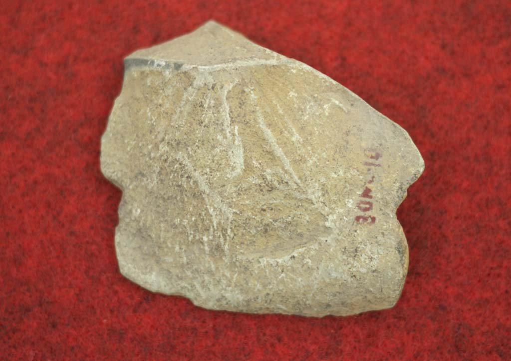 �ʐ^,�f��,����,�t���[,�t�H�g,�N���G�C�e�B�u�E�R�����Y,���i,�ǎ�,�����ف@��, , , , 