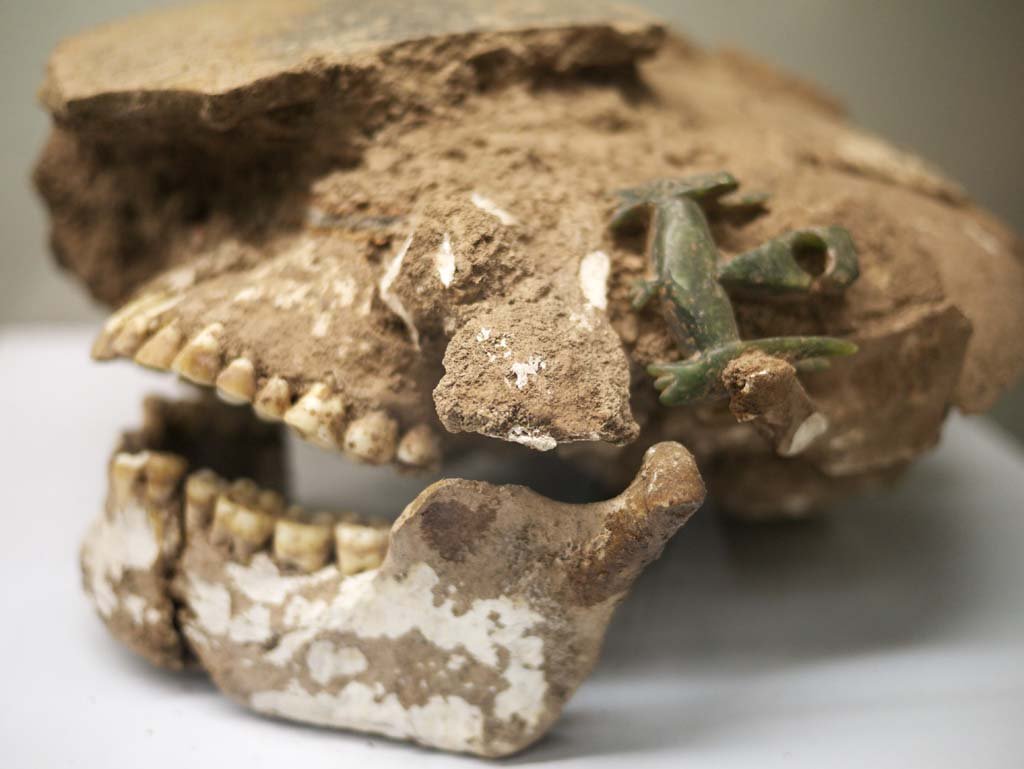 �ʐ^,�f��,����,�t���[,�t�H�g,�N���G�C�e�B�u�E�R�����Y,���i,�ǎ�,�����ف@��, , , , 