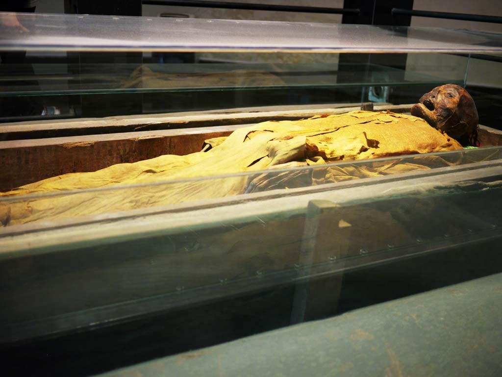 �ʐ^,�f��,����,�t���[,�t�H�g,�N���G�C�e�B�u�E�R�����Y,���i,�ǎ�,�����ف@�~�C��, , , , 