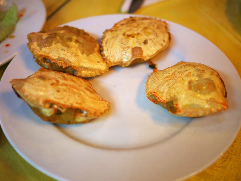 �ʐ^,�f��,����,�t���[,�t�H�g,�N���G�C�e�B�u�E�R�����Y,���i,�ǎ�,�J�j�̍b������, , , , 