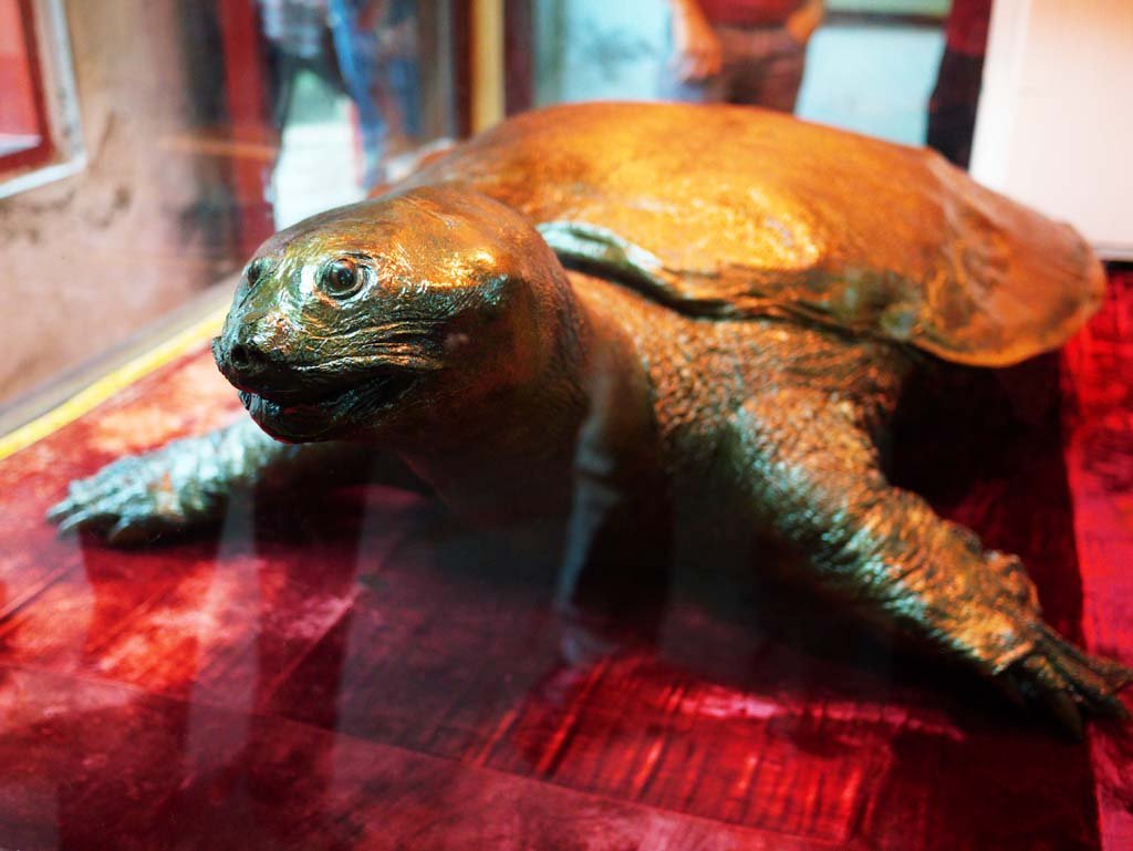 �ʐ^,�f��,����,�t���[,�t�H�g,�N���G�C�e�B�u�E�R�����Y,���i,�ǎ�,�ʎR�K�̑�T, , , , 