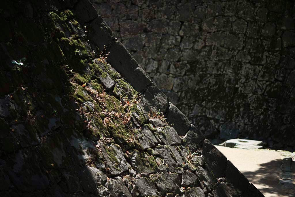 �ʐ^,�f��,����,�t���[,�t�H�g,�N���G�C�e�B�u�E�R�����Y,���i,�ǎ�,�F�{��ɂ�, , , , 