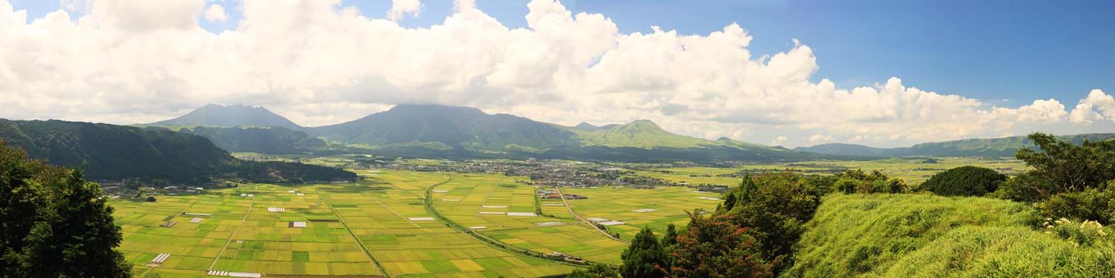 �ʐ^,�f��,����,�t���[,�t�H�g,�N���G�C�e�B�u�E�R�����Y,���i,�ǎ�,���h, , , , 