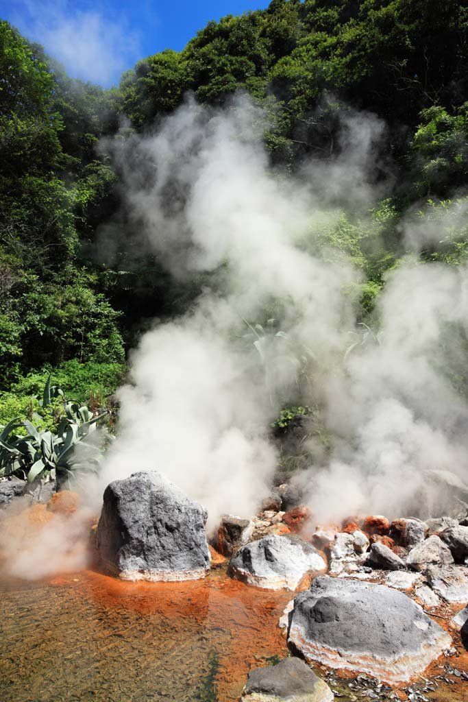 �ʐ^,�f��,����,�t���[,�t�H�g,�N���G�C�e�B�u�E�R�����Y,���i,�ǎ�,�R�n��, , , , 