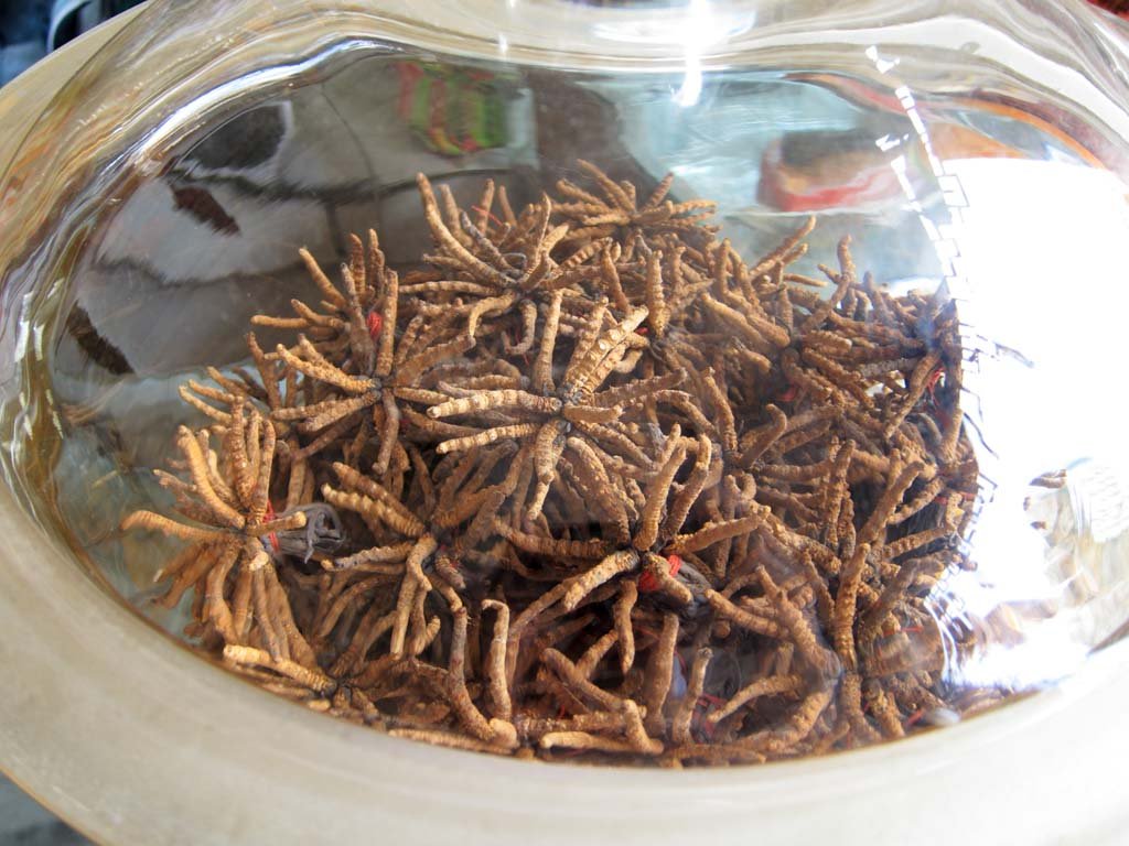 �ʐ^,�f��,����,�t���[,�t�H�g,�N���G�C�e�B�u�E�R�����Y,���i,�ǎ�,����, , , , 