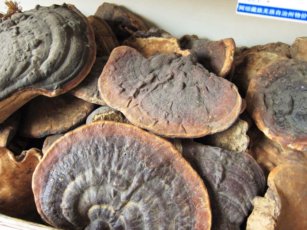 �ʐ^,�f��,����,�t���[,�t�H�g,�N���G�C�e�B�u�E�R�����Y,���i,�ǎ�,����, , , , 