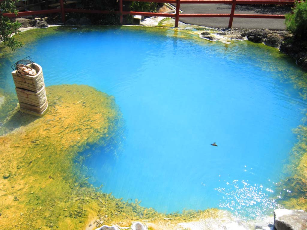 �ʐ^,�f��,����,�t���[,�t�H�g,�N���G�C�e�B�u�E�R�����Y,���i,�ǎ�,�啪, , , , 