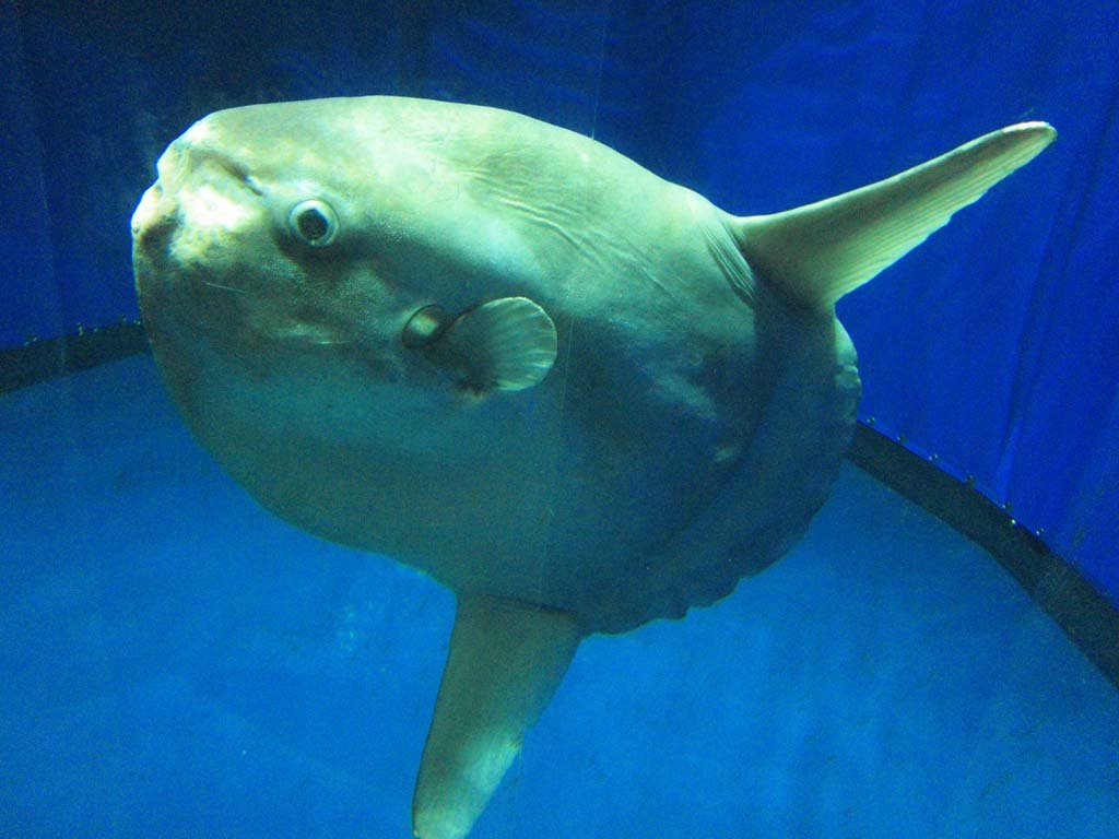 �ʐ^,�f��,����,�t���[,�t�H�g,�N���G�C�e�B�u�E�R�����Y,���i,�ǎ�,�}���{�E, , , , 