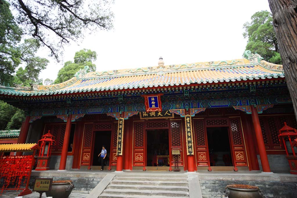 �ʐ^,�f��,����,�t���[,�t�H�g,�N���G�C�e�B�u�E�R�����Y,���i,�ǎ�,�k�C����, , , , 